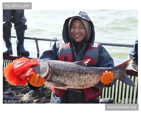 猎鱼达人3d免费下载全新内容，掌握捕鱼技巧提升战绩的最佳途径指南
